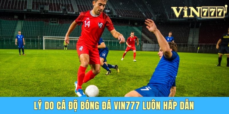Lý do cá độ bóng đá Vin777 luôn hấp dẫn